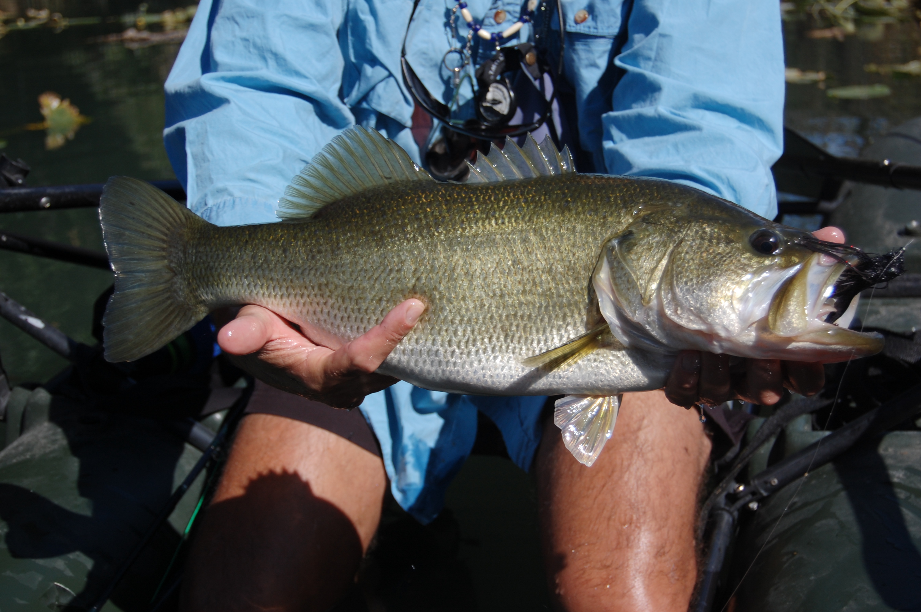 Fly Fishing Classes, Lessons, Instruction Near Austin and San Antonio Texas