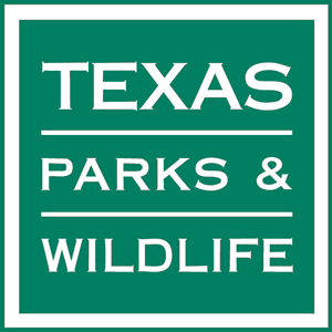 Guadalupe River Fly Fishing